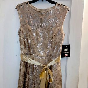 Beautiful special event dress.  NWT